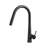 Cefito Kitchen Mixer Tap Pull Out Round 2 Mode Sink Basin Faucet Swivel WELS Black - Cefito