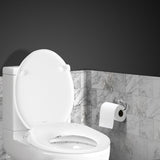 Cefito Non Electric Bidet Toilet Seat Bathroom White